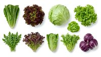 Assorted fresh lettuce and leafy greens including romaine, red leaf, green cabbage, and purple varieties isolated on white background for culinary, recipe, and healthy eating design projects.