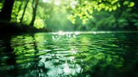 Tranquil green forest pond surface with sunlight filtering through leaves, creating magical water ripples and reflections in natural woodland setting.