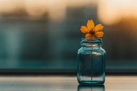 Single orange cosmos flower in vintage blue mason jar against blurred teal background, minimalist composition with soft evening light and bokeh effect.