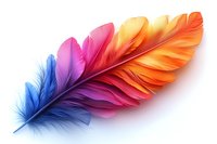 Colorful rainbow feather with gradient from blue to orange on white background, isolated design element for creative projects and decorative artwork.