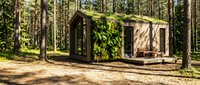 Modern tiny house with green ivy climbing walls nestled among tall pine trees in forest setting, showcasing sustainable architecture and eco-friendly woodland living design.