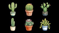 Potted cacti and succulents collection isolated on transparent background, ready for t-shirt design, clipart, stickers, print-on-demand products and sublimation projects.