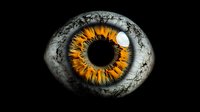Dramatic macro shot of orange and amber iris with detailed texture and patterns on dark background, artistic eye photography showing intricate details of human eye anatomy.