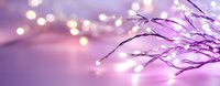 Glowing fairy lights on bare tree branches create magical purple and pink bokeh effect against soft blurred background, panoramic winter holiday atmosphere.