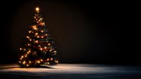 Illuminated Christmas tree standing alone on snow-covered ground against dark background, glowing warm lights creating magical holiday atmosphere.