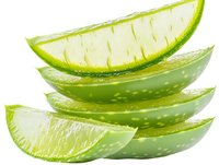 Fresh aloe vera plant leaves sliced showing transparent gel and green rind on white background, natural organic skincare ingredient.