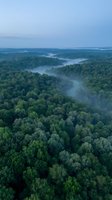Aerial view of misty morning fog rolling through dense green forest canopy creating mystical atmosphere for nature and environmental concepts.