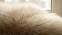 Soft beige fur texture close-up with natural light creating warm tones and gentle shadows for luxury fashion and interior design projects.