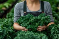 Farmer in overalls holding freshly harvested organic curly kale leaves in garden setting, demonstrating sustainable agriculture and farm-to-table produce.