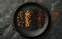 Assorted peppercorns and mustard seeds arranged in rows on dark ceramic plate against slate background, perfect for culinary designs.