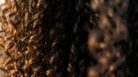 Close-up of natural curly brown hair texture with warm golden highlights and soft lighting for beauty and haircare concepts.