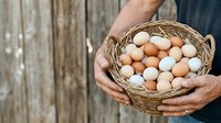 Farmer holding wicker basket filled with fresh brown and white eggs against rustic wooden background. Suitable for agriculture, farming, food production, and organic product marketing.