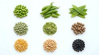 Assorted legumes and pulses including green peas, snap peas, snow peas, mung beans, lentils, chickpeas, soybeans and black beans arranged in circles on white background for cooking and nutrition.