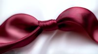 Elegant burgundy silk ribbon bow against white background, soft focus macro photography shows luxurious satin texture and gentle curves, suitable for gift wrapping designs.