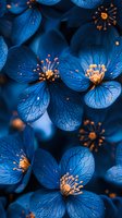 Vibrant blue petals with delicate veining and golden stamens create dramatic floral macro composition against dark background. Artistic nature photography for wall decor.
