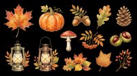 Autumn fall season isolated elements collection with maple leaves, pumpkin, acorns, pine cone, lanterns, mushroom, rowan berries, and oak leaf on transparent background. Ready for t-shirt design, clipart, stickers, sublimation, and print-on-demand projects.
