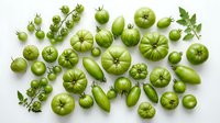Fresh green tomatoes and herbs arranged on white background for healthy cooking and gardening concepts. Organic vegetables isolated for design use.