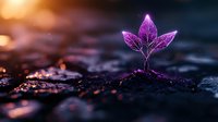 Glowing purple seedling emerging from dark soil with magical light effects and bokeh background, symbolizing growth, hope and new beginnings in nature.