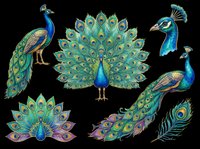 Peacock birds with vibrant emerald and sapphire plumage, featuring elaborate tail feathers and ornamental patterns. Isolated on transparent background, ready for t-shirts, clipart, stickers, sublimation, and print-on-demand designs.