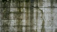 Weathered concrete wall with moss stains and natural aging patterns. Industrial urban texture background for architectural and construction projects.