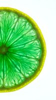 Vibrant lime slice with translucent green flesh and yellow rind, isolated on white background. Fresh citrus fruit cross-section suitable for food, beverage, and wellness design projects.