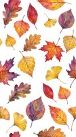 Watercolor autumn leaves seamless pattern with oak, maple, birch and ginkgo foliage in warm fall colors on white background for seasonal design projects.