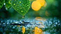 Fresh green leaf with morning dew drops creating ripples as water droplet falls into puddle against golden bokeh lights and reflections in nature macro scene.