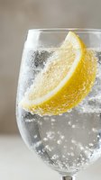 Refreshing sparkling water or gin and tonic cocktail with fresh lemon slice and ice cubes, perfect for beverage, hospitality, and drink menu designs.