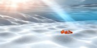 Orange and white striped clownfish swimming over sandy ocean floor with sunbeams penetrating water surface creating ethereal underwater atmosphere.