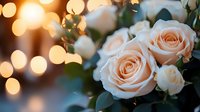 Elegant peach roses with warm bokeh lights creating romantic atmosphere for weddings, celebrations and special occasions.