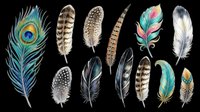 Feathers isolated on transparent background, ready for clipart, t-shirt design, stickers, sublimation, and print-on-demand projects. Collection includes peacock, bird, and decorative feather designs.