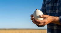 Farmer holding fresh white egg in hand against clear blue sky and open field landscape during daytime.