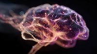 Glowing purple brain visualization with neural connections on dark background, representing artificial intelligence, neuroscience, and cognitive function.