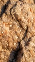 Macro close-up of weathered sandy soil with crystalline mineral deposits and natural texture, suitable for geology, environmental, and educational backgrounds.