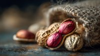 Fresh peanuts spilling from burlap sack with shells cracked open revealing red skin nuts on rustic wooden surface for healthy snacking and cooking concepts.