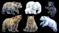 Watercolor bear collection featuring six illustrated bears in various poses and colors, including brown, polar, and blue bears. Isolated on transparent background, ready for t-shirt design, clipart, stickers, sublimation, print-on-demand products, and digital crafts.