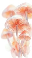 Watercolor mushrooms in soft coral and peach tones with delicate translucent caps and stems on white background for botanical art and nature designs.