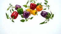 Colorful bell peppers in red, yellow, green, orange and purple with fresh green leaves arranged on white background. Organic vegetables isolated for cooking.