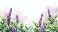 Watercolor lavender flowers with green leaves creating decorative border frame on soft pink background for aromatherapy wellness spa design projects.
