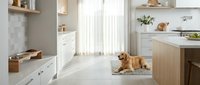 Golden retriever dog resting on a rug in a bright modern kitchen with white cabinets, sheer curtains, and natural wood accents.