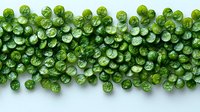 Fresh green pea sprouts with water drops arranged in horizontal line on white background, macro food photography for healthy eating concept.