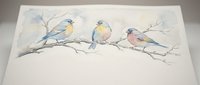 Watercolor painting of three colorful songbirds perched on delicate branch with soft pastel tones on textured paper background for home decor.