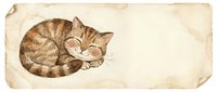 Tabby cat sleeping curled up on aged vintage paper background, isolated design element for stationery, greeting cards, and print projects.