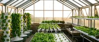 Modern greenhouse interior with hydroponic vertical farming systems growing fresh lettuce and leafy greens in sustainable agricultural setup.