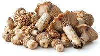 Fresh shiitake mushrooms group on white background, whole and sliced brown forest fungi with textured caps and stems, isolated food photography.