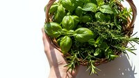 Fresh aromatic herbs in wicker basket held by hands including basil, rosemary, thyme and mint for cooking, seasoning and culinary preparations.