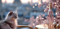 Elegant ragdoll cat near champagne bottle and festive decorations with soft bokeh lights and pink blossoms creating romantic holiday atmosphere.