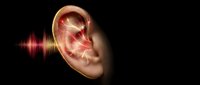 Human ear anatomy with sound waves and red pain indication showing hearing problems or tinnitus symptoms on black background for medical education.