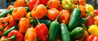 Fresh colorful hot chili peppers mix including red orange yellow green varieties perfect for cooking spicy dishes and culinary preparations.