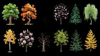 Colorful tree collection with seasonal varieties including evergreen, autumn, spring blossom, and bare winter trees, isolated on transparent background, ready for clipart, stickers, and t-shirt design.